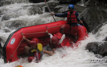 rafting-tos-pacet