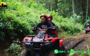 harga-atv-trawas